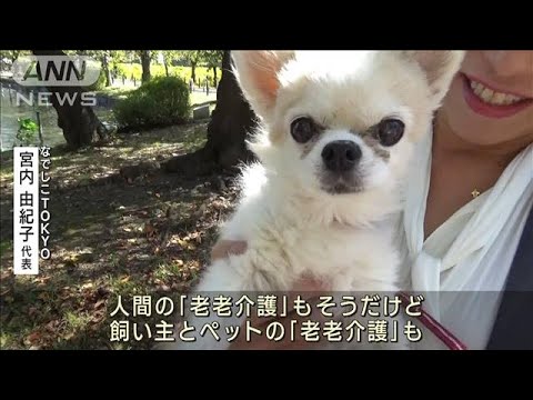 高齢者とペット「老老介護」に支援　犬や猫も長寿命化で新サービス(2023年10月28日)