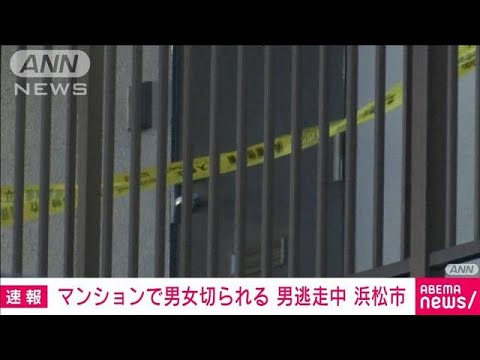 【速報】マンションで男女が切り付けられ搬送　男が逃走中　浜松市(2023年10月29日)