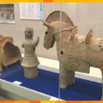 人と馬の歴史を紹介する特別展　古墳から出土した馬形の埴輪や馬具など306点展示　滋賀・近江八幡市