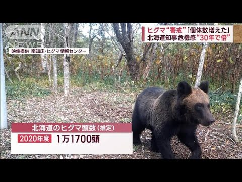 冬眠直前…クマが倉庫“居座り” 「叫んだ」住民が語った恐怖(2023年10月30日)