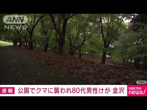 公園でクマに襲われ ウォーキング中の80代男性けが　石川・金沢市(2023年10月9日)