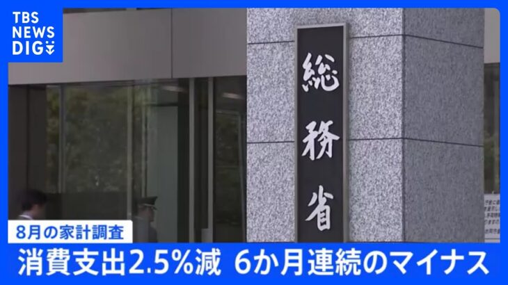 今年8月の家計消費支出は2.5％減少 6か月連続の減少｜TBS NEWS DIG