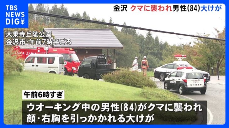 クマに襲われた男性(84)が大けが　「顔の出血が止まらなくて」　金沢市｜TBS NEWS DIG