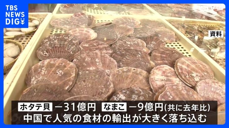 8月の中国向け水産物の輸出額65.7％↓　福島第一原発の処理水の影響で｜TBS NEWS DIG