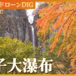 紅葉の米子大瀑布【JNN 紅葉ドローンDIG】| TBS NEWS DIG