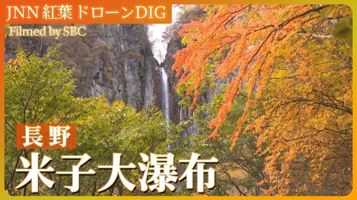 紅葉の米子大瀑布【JNN 紅葉ドローンDIG】| TBS NEWS DIG