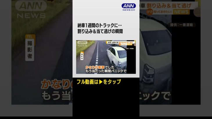 #shorts 納車わずか1週間…トラックに“当て逃げ”の瞬間　被害者「逃げ得は許されないよ」