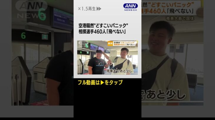 #shorts “どすこいパニック”旅客機飛べず…相撲選手が大量搭乗　重量オーバー？ 臨時便で対応