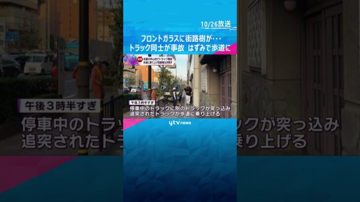 フロントガラスに街路樹が…#shorts #読売テレビニュース