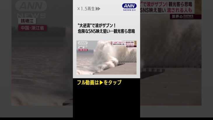 #shorts 【世界のnews】“大逆流”で波がサブン！　観光客ら悲鳴　SNS映え狙い流される人も