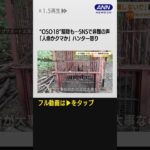 #shorts「人命かクマか」ハンター怒り　OSO18駆除も…SNSで非難の声　北海道庁が異例呼びかけ