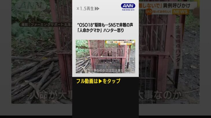 #shorts「人命かクマか」ハンター怒り　OSO18駆除も…SNSで非難の声　北海道庁が異例呼びかけ