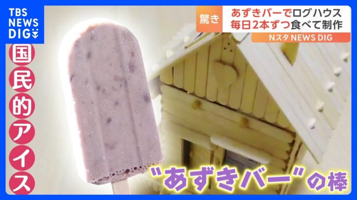 SNSで話題！「あずきバーの棒」で作ったミニチュアのログハウス｜TBS NEWS DIG