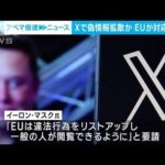 ハマスとイスラエルの紛争後『X』で偽情報が拡散　EUがマスク氏に迅速な対応求める(2023年10月11日)