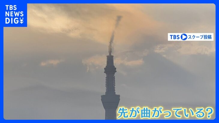 11月なのに夏日　一方でスカイツリーが“曲がる”・“伸びる”　謎の現象が発生　そのワケは…｜TBS NEWS DIG