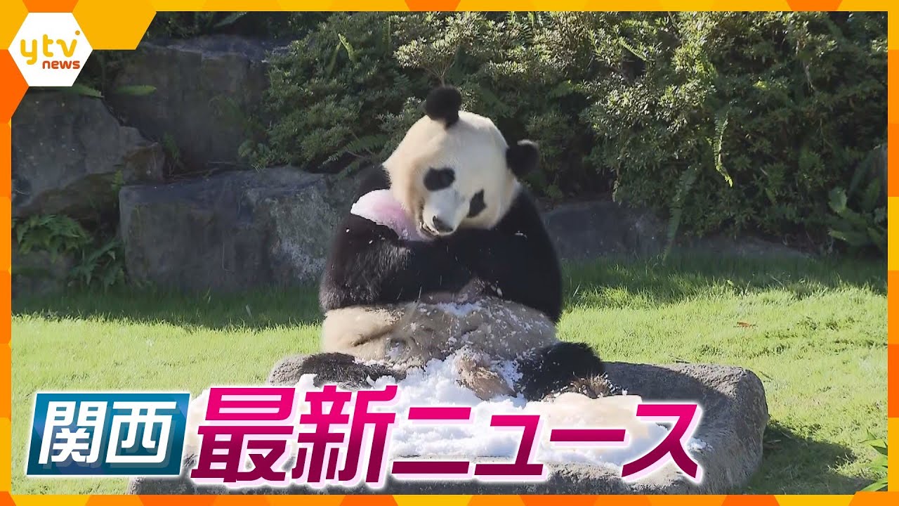 【ニュースライブ 11/22(水)】日常的に子どもらに暴行か/ウソの投資話で3300万円詐欺容疑/パンダの「楓浜」が３歳に　ほか【随時更新】