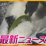 【ニュースライブ 11/29(水)】関空開港以来最多の覚醒剤押収/「命をもって償って」京アニ裁判で遺族/コロナで中止の夏の甲子園“やり直し”　　ほか【随時更新】