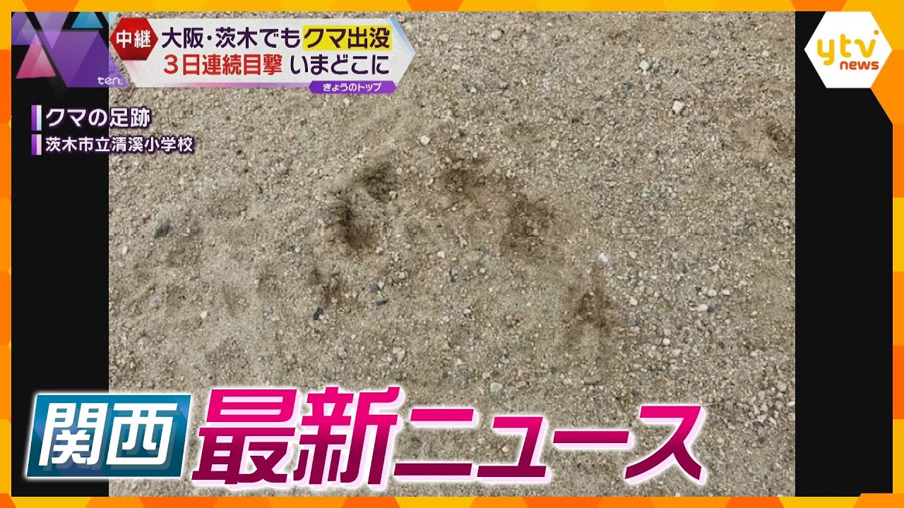 【ニュースライブ 11/9(木)】大阪でもクマ 痕跡が庭やグラウンドに…/免停中に車運転、高校生はねる/路上で女性にキス 自衛官逮捕　ほか【随時更新】