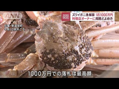 ズワイガニ漁解禁！1匹1000万円　料理店オーナーに周囲どよめき(2023年11月6日)