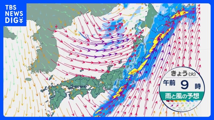 【11月7日 今日の天気】北日本や関東　朝は大雨のピーク　北日本や北陸は暴風に警戒　夜は各地で風冷たく｜TBS NEWS DIG