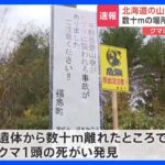 熊が襲撃か　1人が死亡　警察は不明の20代男性との関連調べる　北海道・大千軒岳｜TBS NEWS DIG