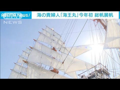 海の貴婦人「海王丸」1年ぶり　総帆展帆(2023年11月3日)