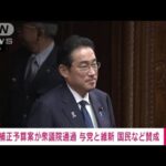 【速報】総額約13兆円の補正予算案　衆院本会議で可決　与党と維新・国民などが賛成(2023年11月24日)