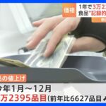 1年間の食品値上げ“3万品目超”　値上げ率の平均は15%　記録的な“値上げラッシュ”｜TBS NEWS DIG