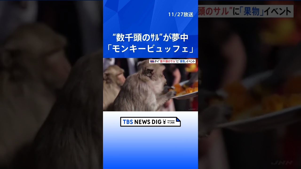 数千頭のサルにバナナなど総額約130万円振る舞う タイで「モンキービュッフェ」開催|TBS NEWS DIG#shorts