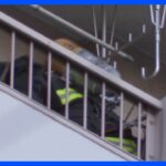 【速報】東京・中央区月島の14階建てマンションで火災　住民の男性が搬送先の病院で死亡｜TBS NEWS DIG