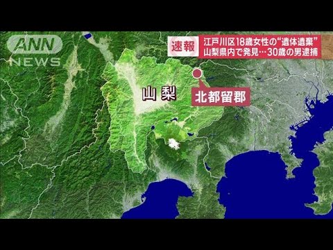 【速報】東京・江戸川区の当時18歳女性の遺体を山梨に遺棄した疑い　30歳男逮捕(2023年11月28日)