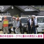 【速報】柿の木伐採中に…クマに襲われ男性2人重傷　富山市(2023年11月16日)