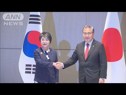 日韓外相会談　対北朝鮮対応や慰安婦問題が焦点(2023年11月26日)