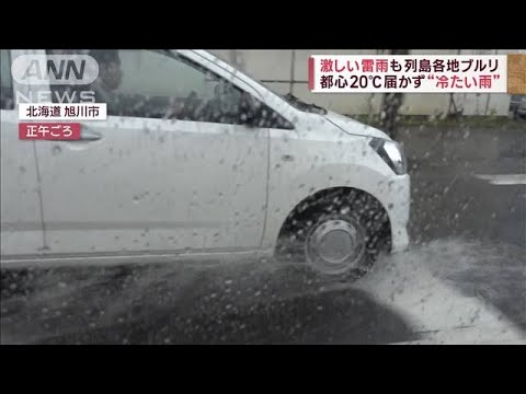 激しい雷雨も列島各地ブルリ　都心20℃届かず“冷たい雨”(2023年11月10日)