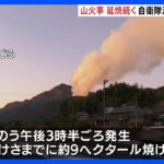 山火事・愛媛　出火から20時間も延焼続く　付近には避難指示｜TBS NEWS DIG