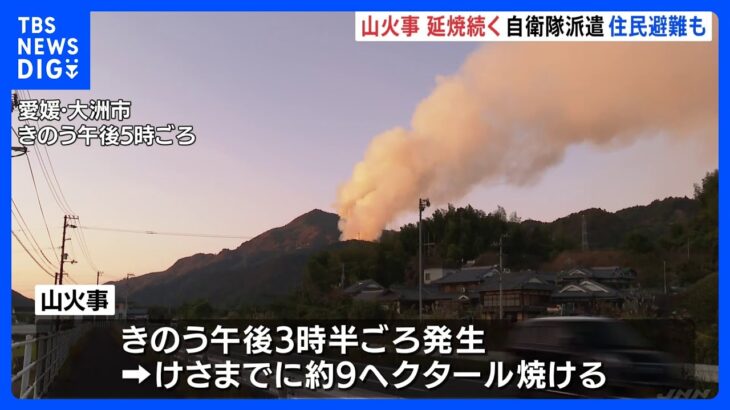 山火事・愛媛　出火から20時間も延焼続く　付近には避難指示｜TBS NEWS DIG