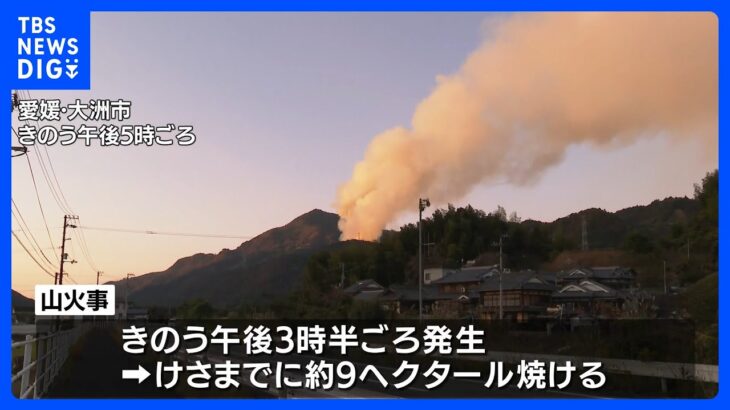 山火事・愛媛　出火から20時間も延焼続く　付近には避難指示｜TBS NEWS DIG