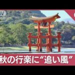 秋の行楽に“追い風”？自治体支援で紅葉狩り(2023年11月21日)