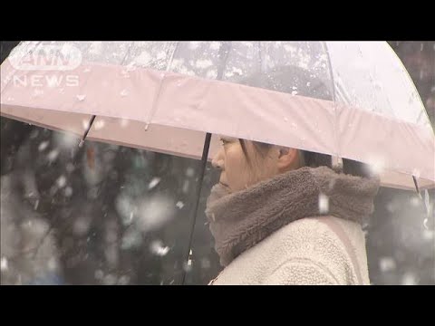 北日本・北陸で荒天続く　大雪や猛吹雪に警戒(2023年11月29日)