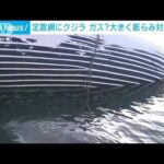 定置網にクジラ　ガス？大きく膨らみ対応協議(2023年11月15日)