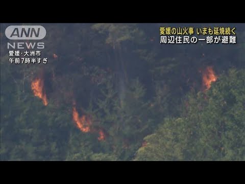 自衛隊ヘリも消火活動　愛媛の山火事延焼 続く(2023年11月2日)