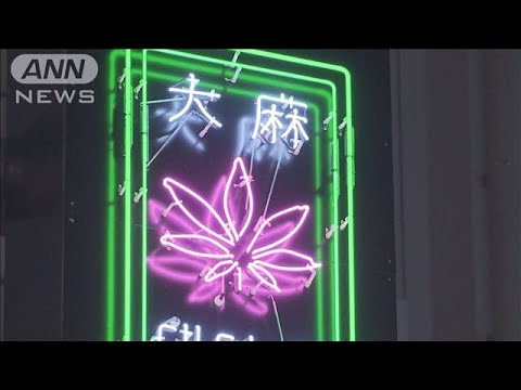 “大麻グミ”問題　都内店舗に立ち入り検査(2023年11月18日)