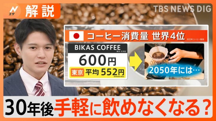 【コーヒー2050年問題】気候変動でコーヒー危機、栽培地域が半減し価格は1000円以上に？【Nスタ解説】｜TBS NEWS DIG