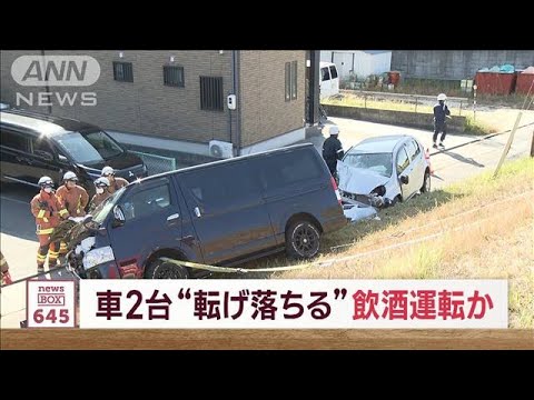 車2台転げ落ちる“飲酒運転”か…正面衝突の末　20歳男を逮捕(2023年11月15日)