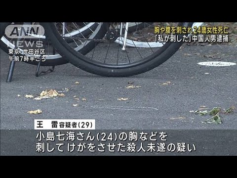 胸や腹を刺され24歳女性死亡 「私が刺した」中国人の男逮捕　東京・世田谷区(2023年11月29日)