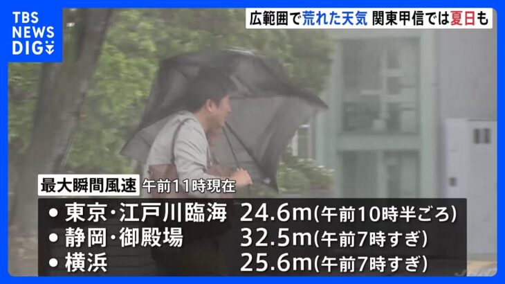 東京・江戸川臨海で最大瞬間風速24.6mを観測　広い範囲で強風の影響｜TBS NEWS DIG