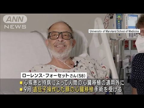 米　豚からの心臓移植　2例目の患者　6週間後に死亡(2023年11月2日)