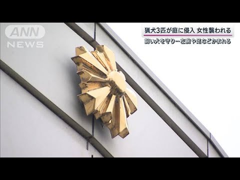 猟犬3匹が庭に侵入　住民女性と飼い犬襲う　左腕などかまれけが(2023年11月19日)