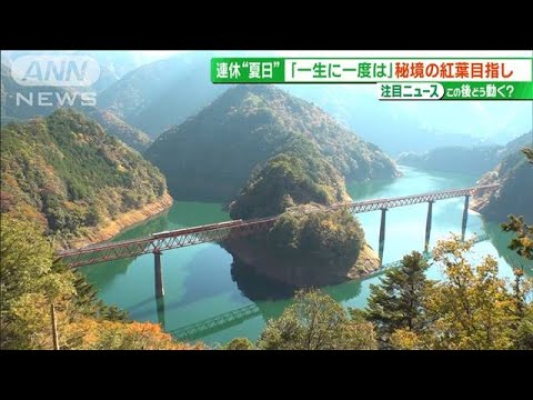 秋の3連休に“記録的夏日” SL で秘境の絶景目指し(2023年11月5日)