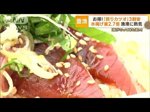 「戻りカツオ」豊漁で…価格3割安　“水揚げ量2.7倍”漁港に熱気「脂のって味も濃い」(2023年11月7日)